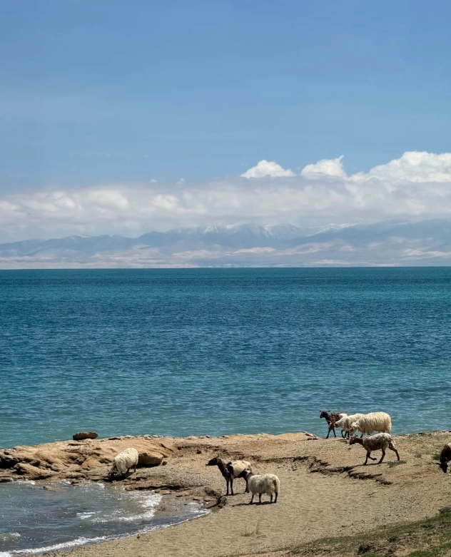 Qinghai Lake travel tips Qinghai Lake travel tips