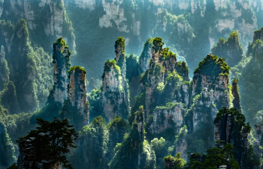 Zhangjiajie National Forest Park Zhangjiajie National Forest Park