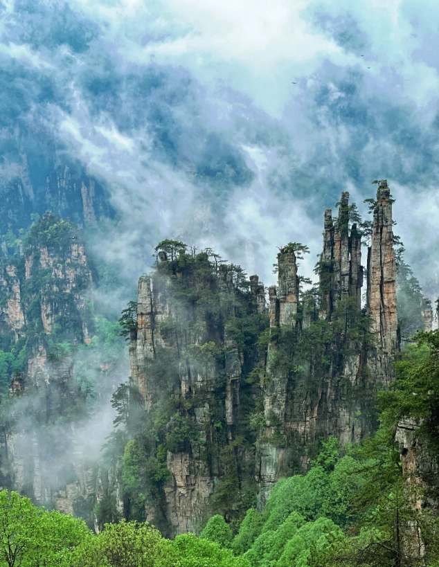 Zhangjiajie National Forest Park Guided Tour: Skip the Lines, See the Peaks