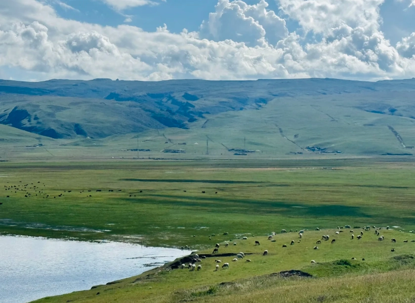 Photo of Qinghai Lake: Xining travel guide