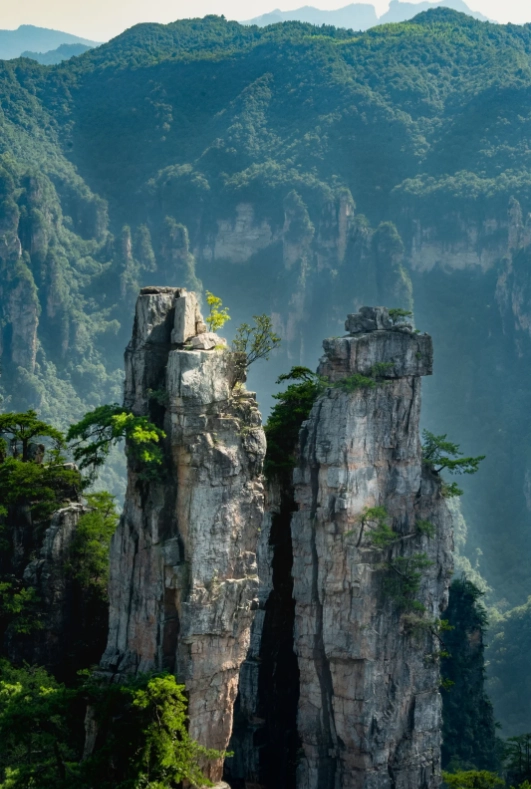Zhangjiajie ticket price Zhangjiajie ticket price