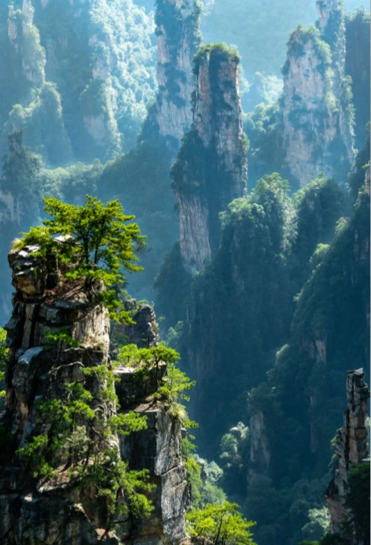 is Zhangjiajie worth visiting is Zhangjiajie worth visiting