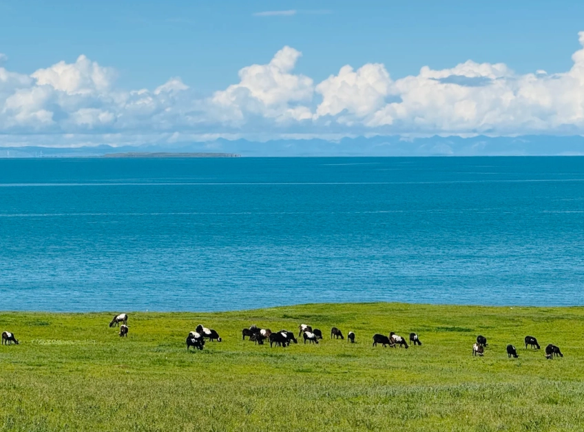 Photo of Qinghai Lake: solo travel Xining