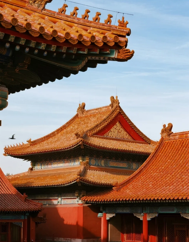 forbidden city opening hours forbidden city opening hours