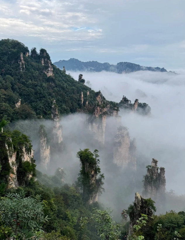 Zhangjiajie National Forest Park best photo locations Zhangjiajie National Forest Park best photo locations