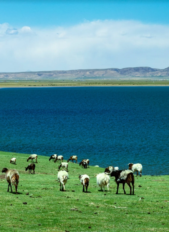 Xining transit without visa Xining transit without visa