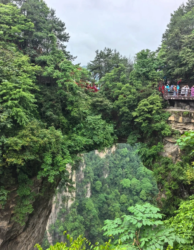 English guide Zhangjiajie