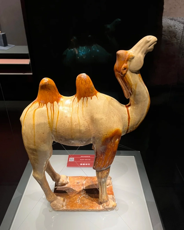 Photo of Qinghai Provincial Museum: Xining museum tickets booking