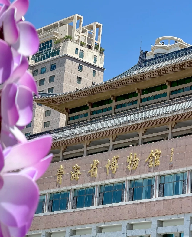 Qinghai Museum free admission