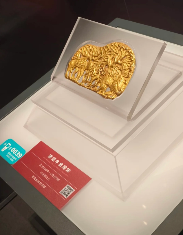 Is Qinghai Provincial Museum worth it Is Qinghai Provincial Museum worth it