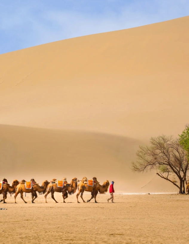 how to get to Mingsha Mountain