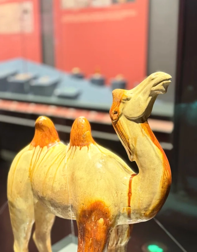 Qinghai Provincial Museum exhibits Qinghai Provincial Museum exhibits
