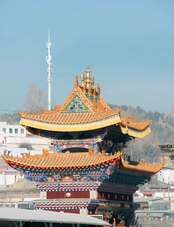 xining food xining food