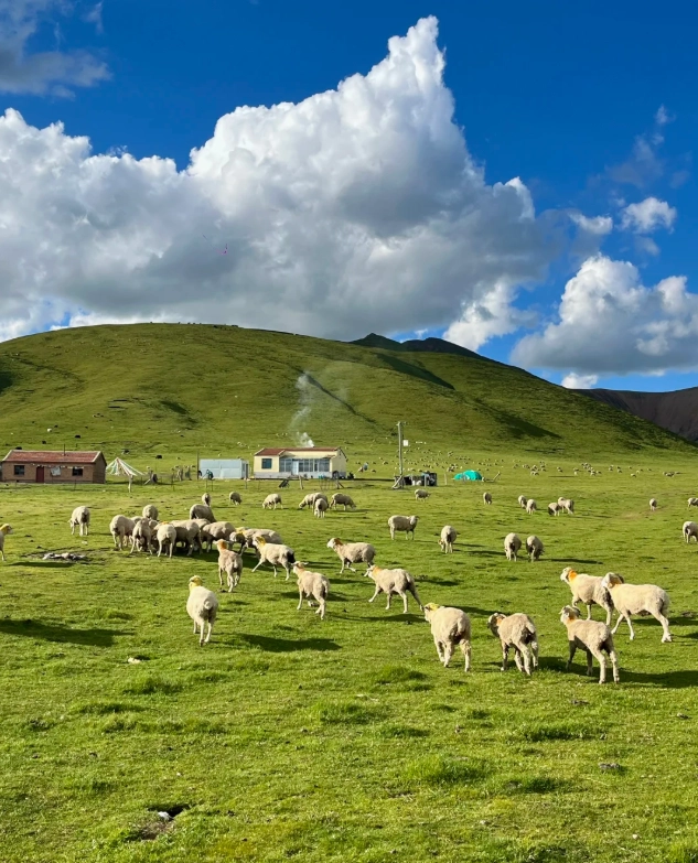 things to do in Xining things to do in Xining