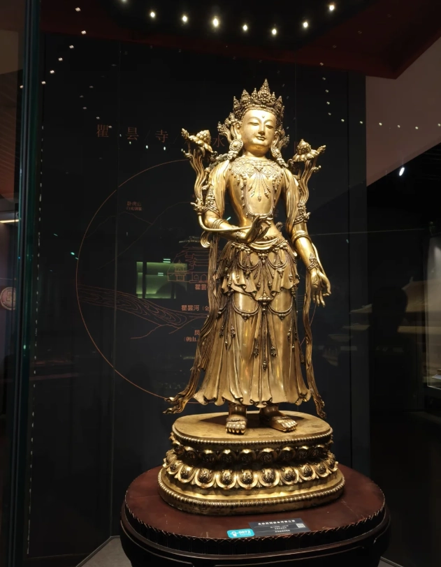 Qinghai museum visit Qinghai museum visit