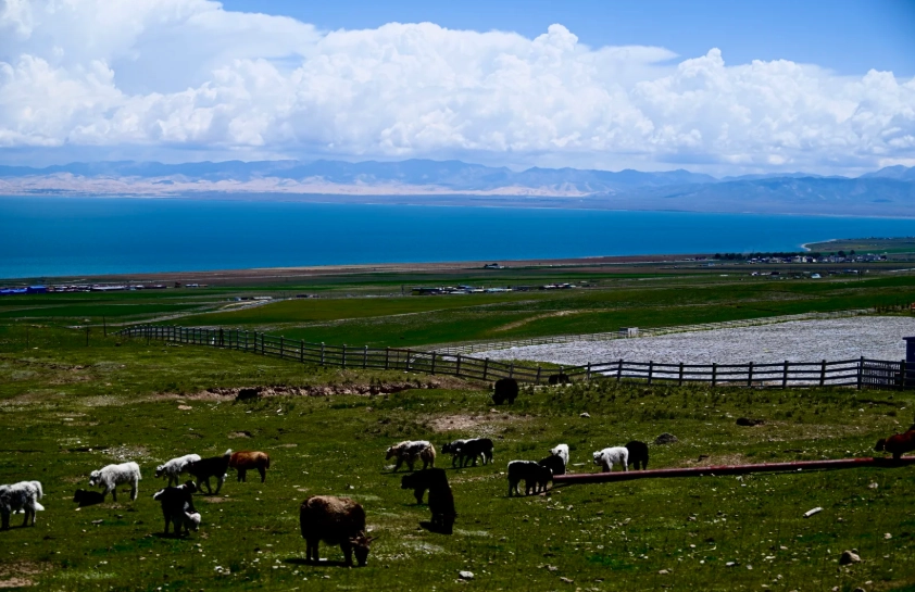 Qinghai Lake sunrise photography Qinghai Lake sunrise photography