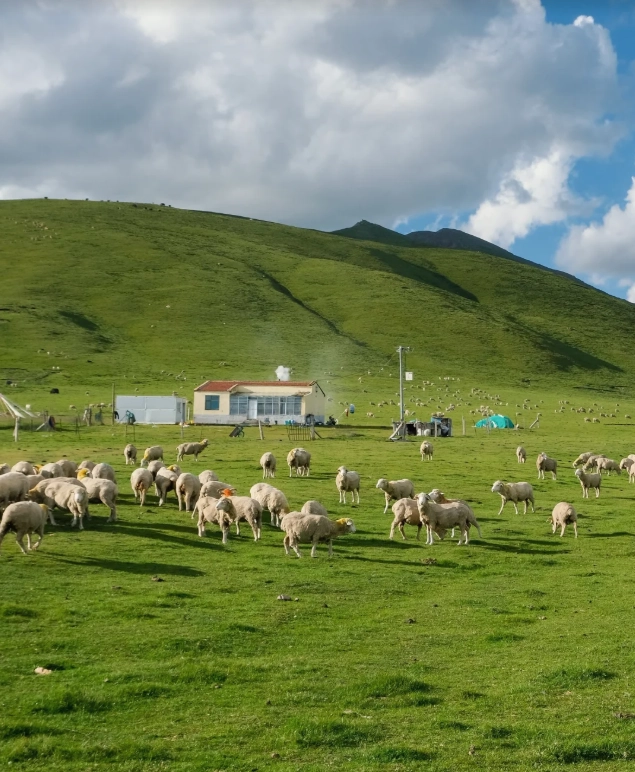 Xining itinerary 2 days Xining itinerary 2 days