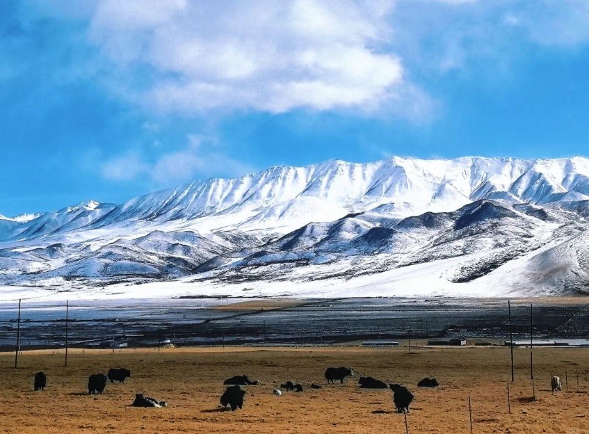 cheap things to do in Xining cheap things to do in Xining