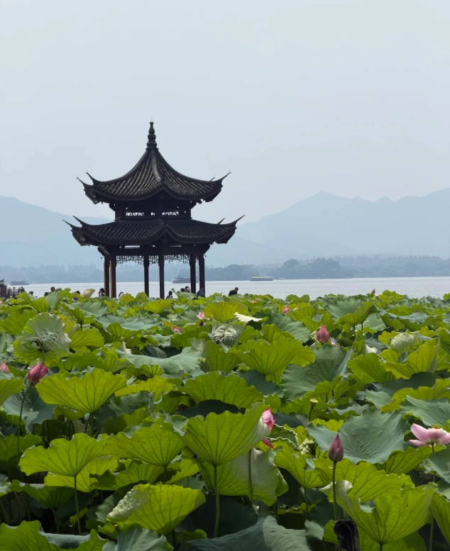 Hangzhou with Kids: Best Family Activities and Itinerary