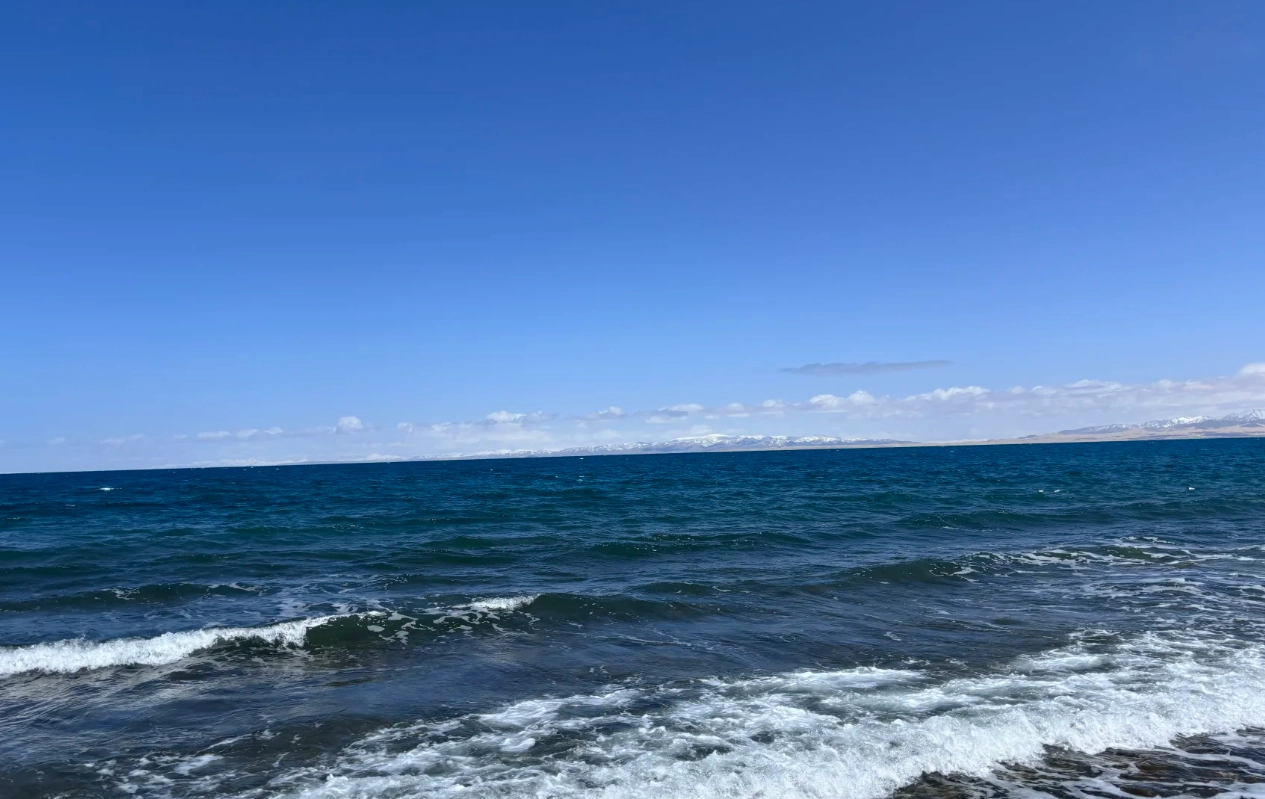 Qinghai Lake Travel Guide: Insider Tips to Avoid Crowds & Altitude Sickness