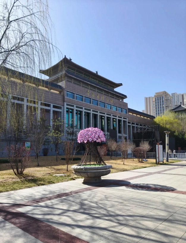 Is Qinghai Provincial Museum Worth Visiting: Honest Take from a Guide