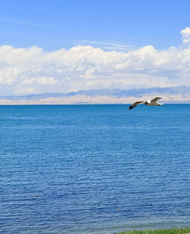 qinghai lake guided tour qinghai lake guided tour