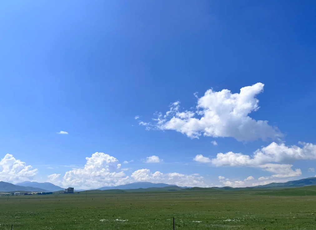 qinghai lake tips qinghai lake tips