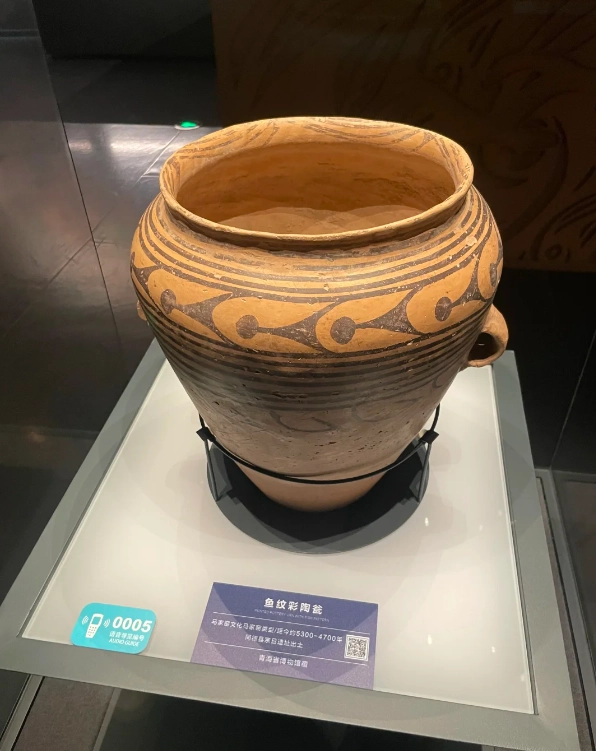 Xining museum tips