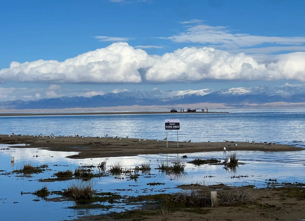 best time to visit Qinghai Lake best time to visit Qinghai Lake