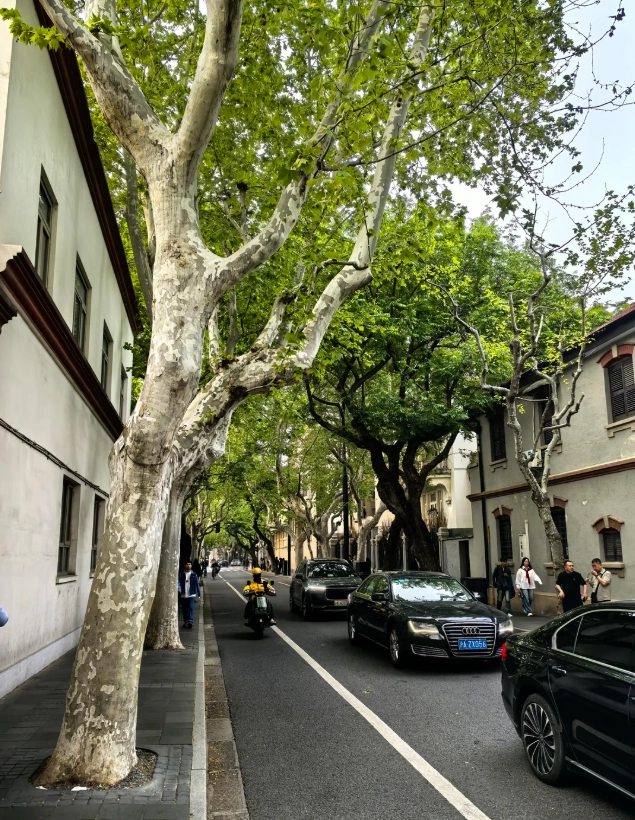 when to visit wukang road when to visit wukang road