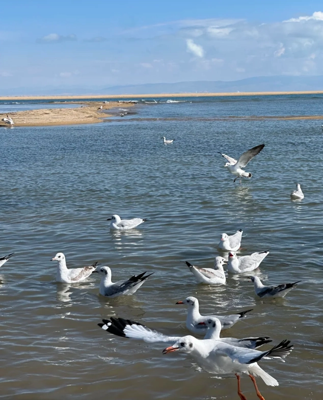 how to get to Qinghai Lake how to get to Qinghai Lake