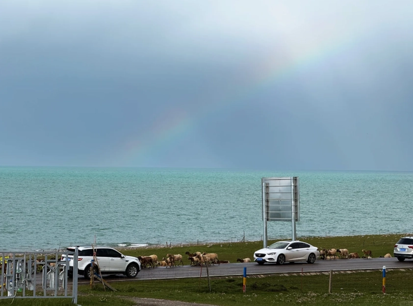 Qinghai Lake tips