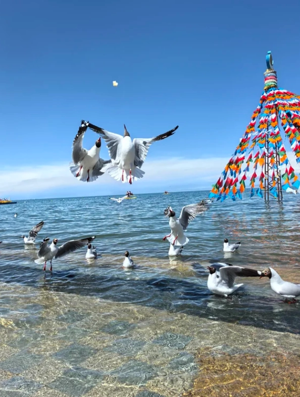when to visit Xining when to visit Xining