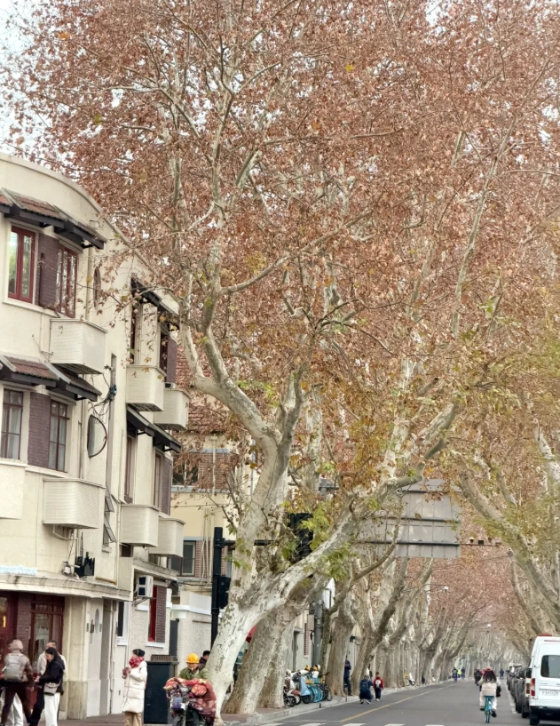 Wukang Road history Wukang Road history