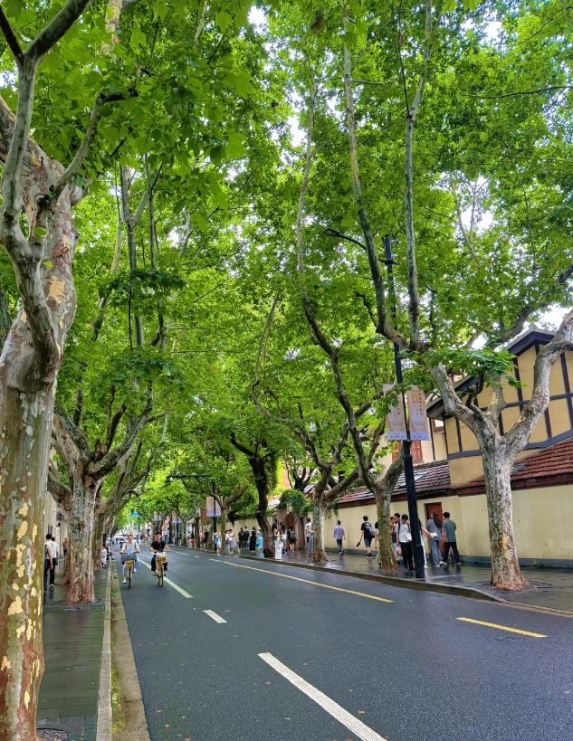 wukang road photography time wukang road photography time