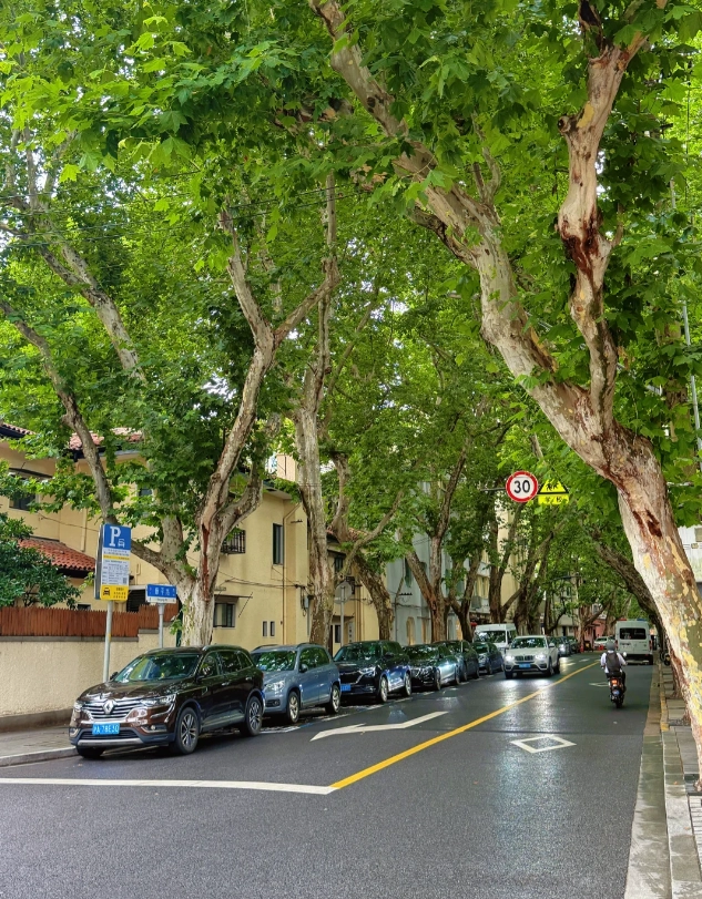 best time to visit wukang road best time to visit wukang road