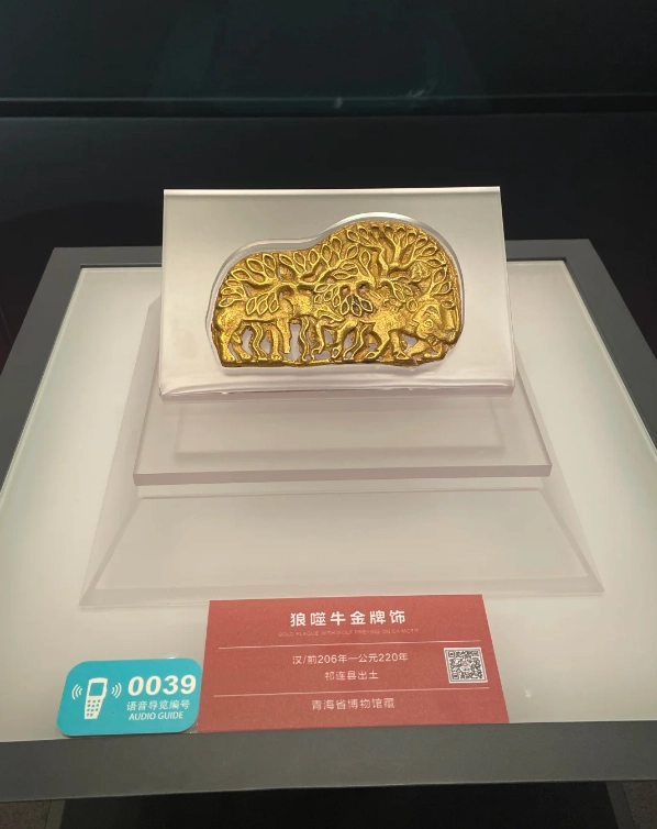 Qinghai Museum how to visit