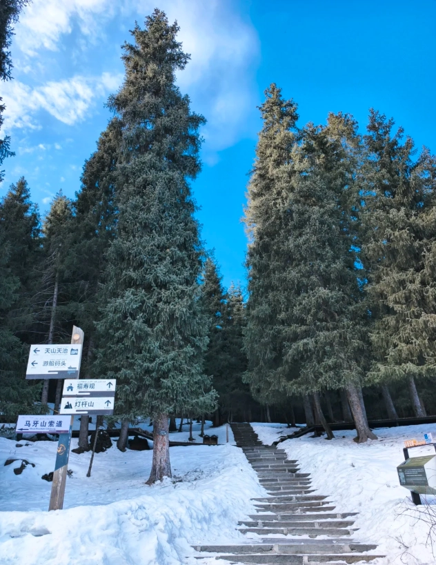 Tianshan winter tips Tianshan winter tips