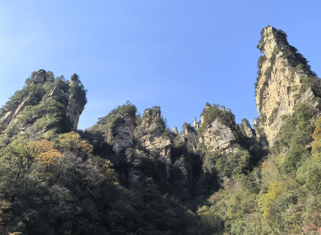 Zhangjiajie park ticket options