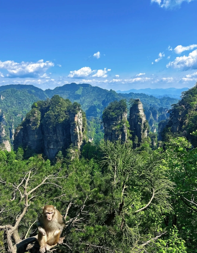 Zhangjiajie transportation Zhangjiajie transportation