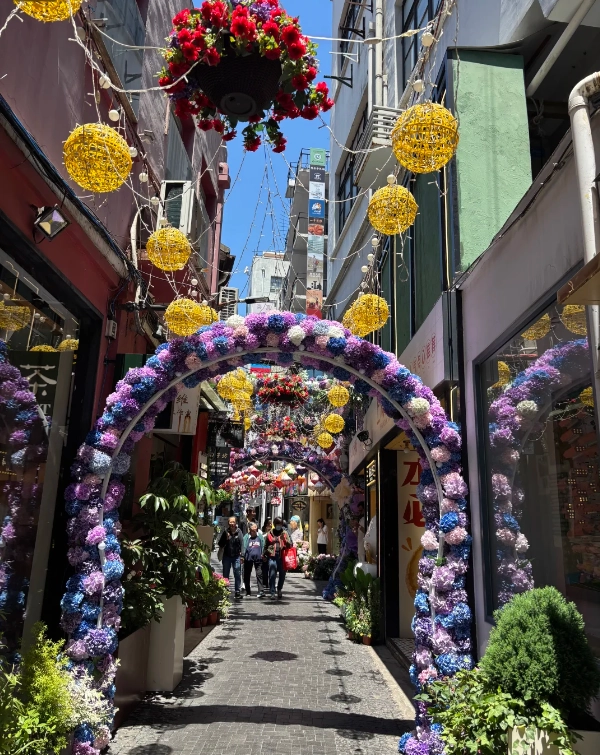Best Time to Visit Tianzifang: Skip the Crowds & Snap Like a Pro