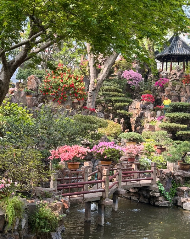 yu garden photography tips yu garden photography tips