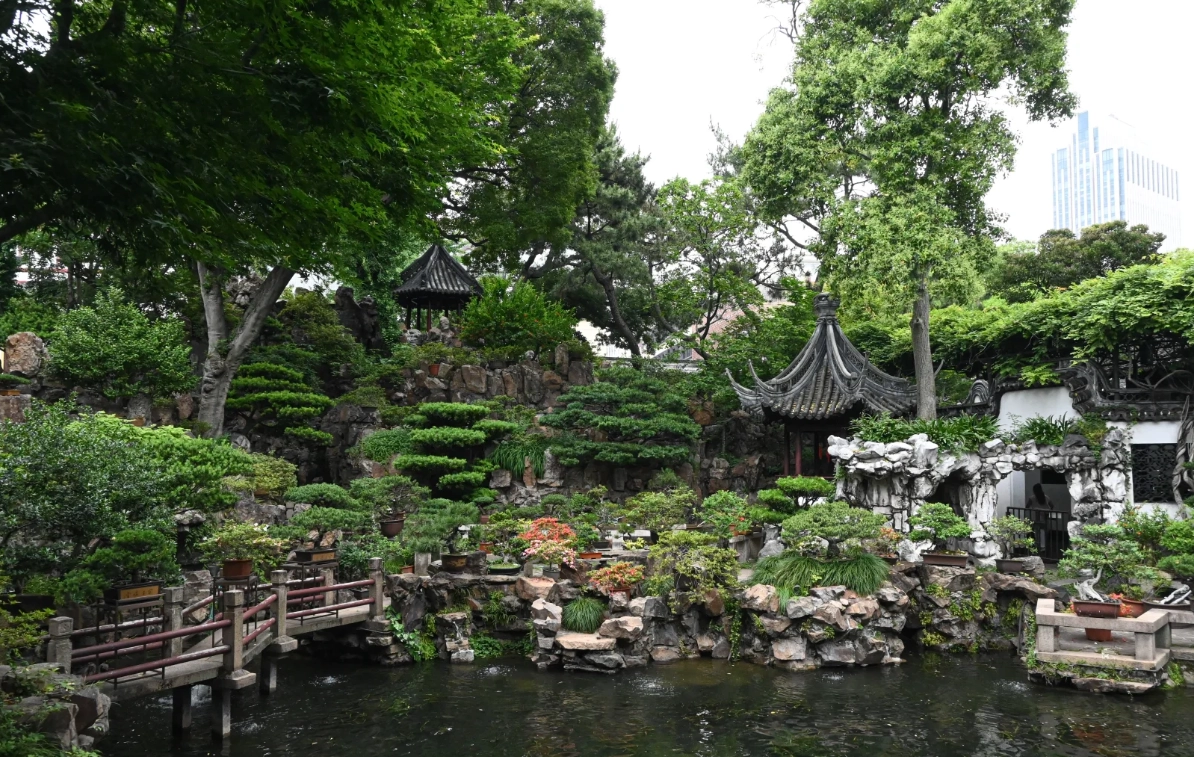 yu garden photography yu garden photography