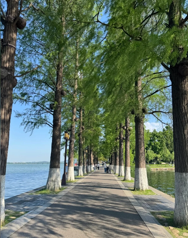 East Lake Scenic Area English Guide: Insider Tips for a Smooth Visit