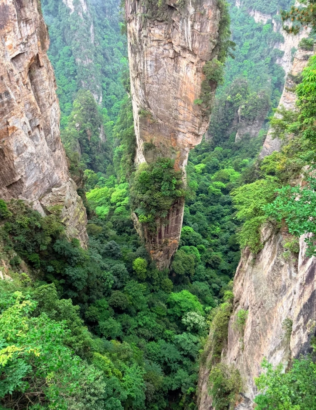 Zhangjiajie National Forest Park Opening Hours: Beat the Crowds with Insider Timing