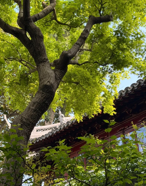best photo spots yu garden best photo spots yu garden