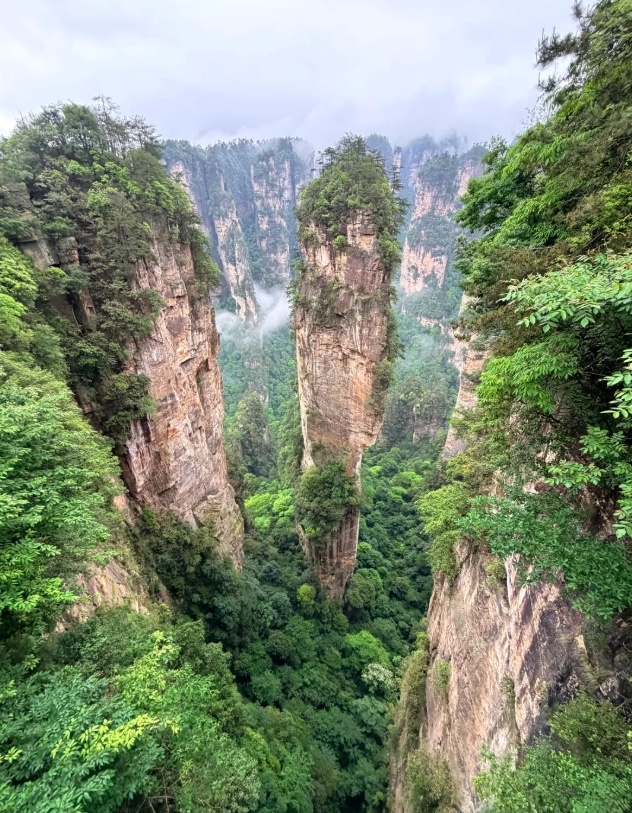 Zhangjiajie National Forest Park hours
