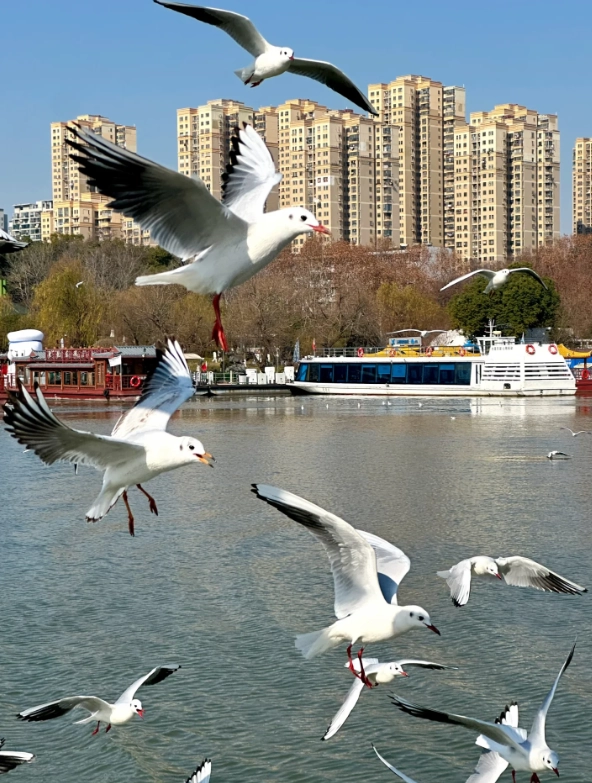 East Lake cruise tickets East Lake cruise tickets