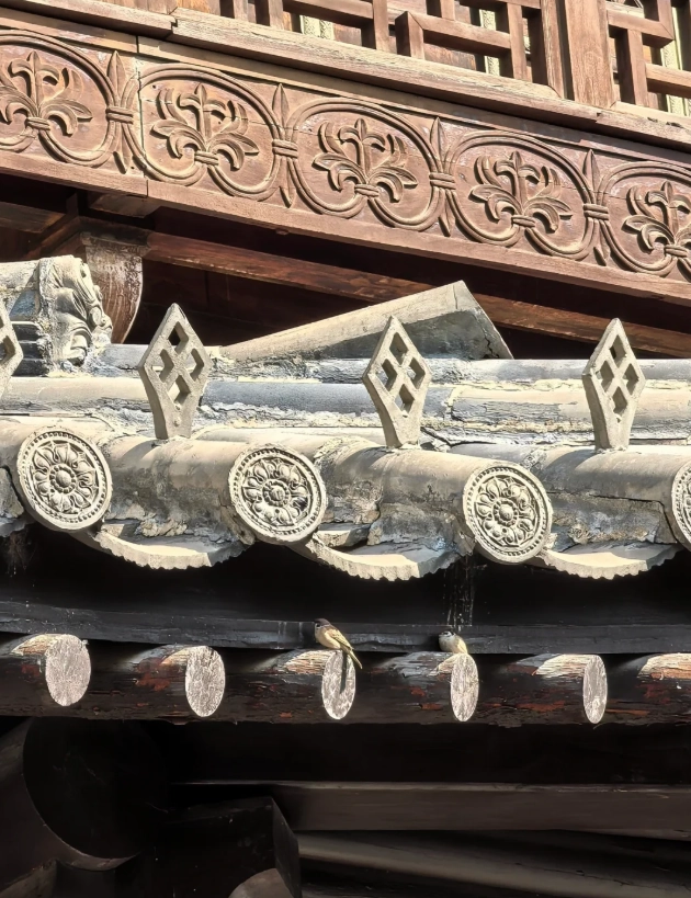 how to visit Yungang Grottoes how to visit Yungang Grottoes