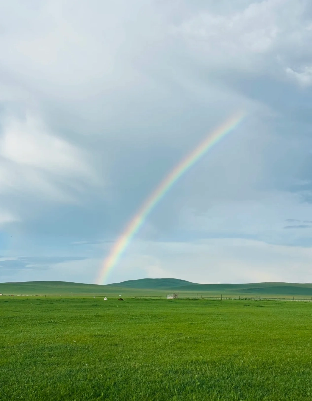 Photo of Hulunbuir Grassland: Hulunbuir grassland tours